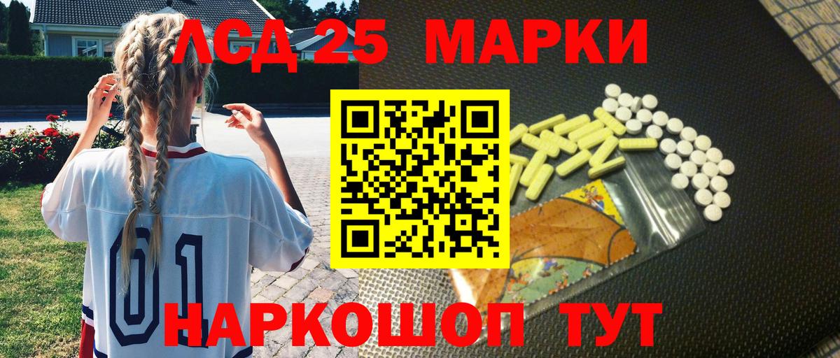 Камышин  Марки N-bome 1500мкг  где найти   Вход с VPN 