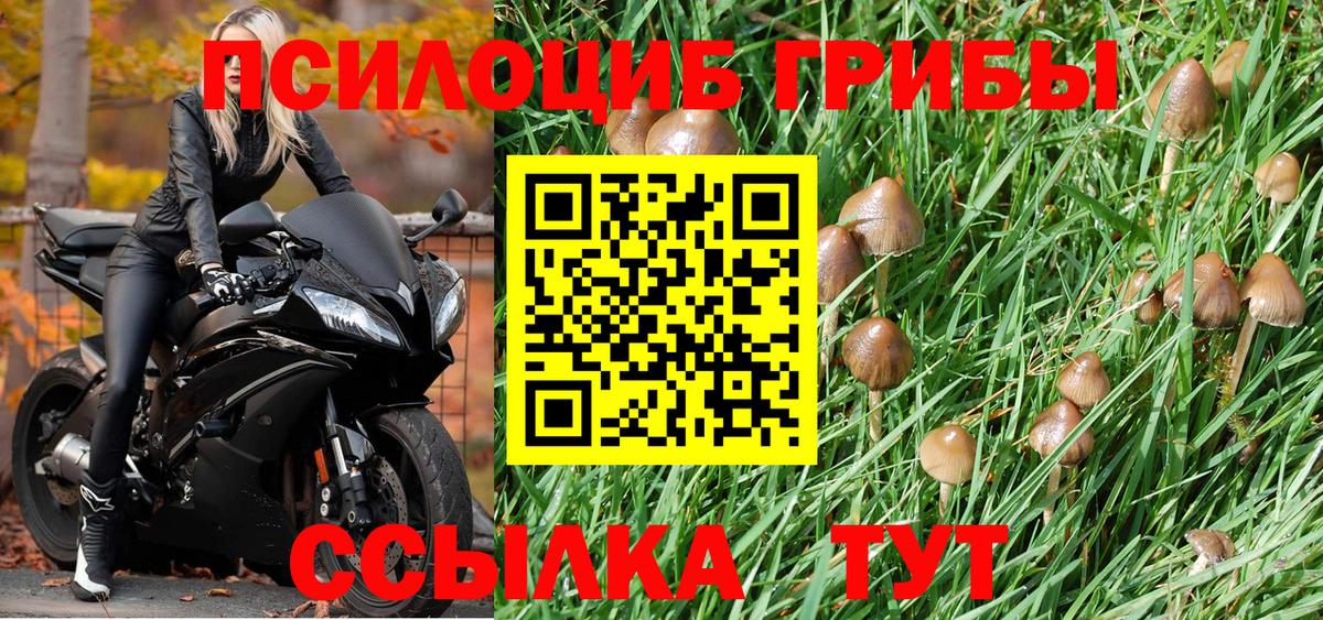 Псилоцибиновые грибы прущие грибы  Галлюциногенные грибы Magic Shrooms  Камышин  Вход с VPN 