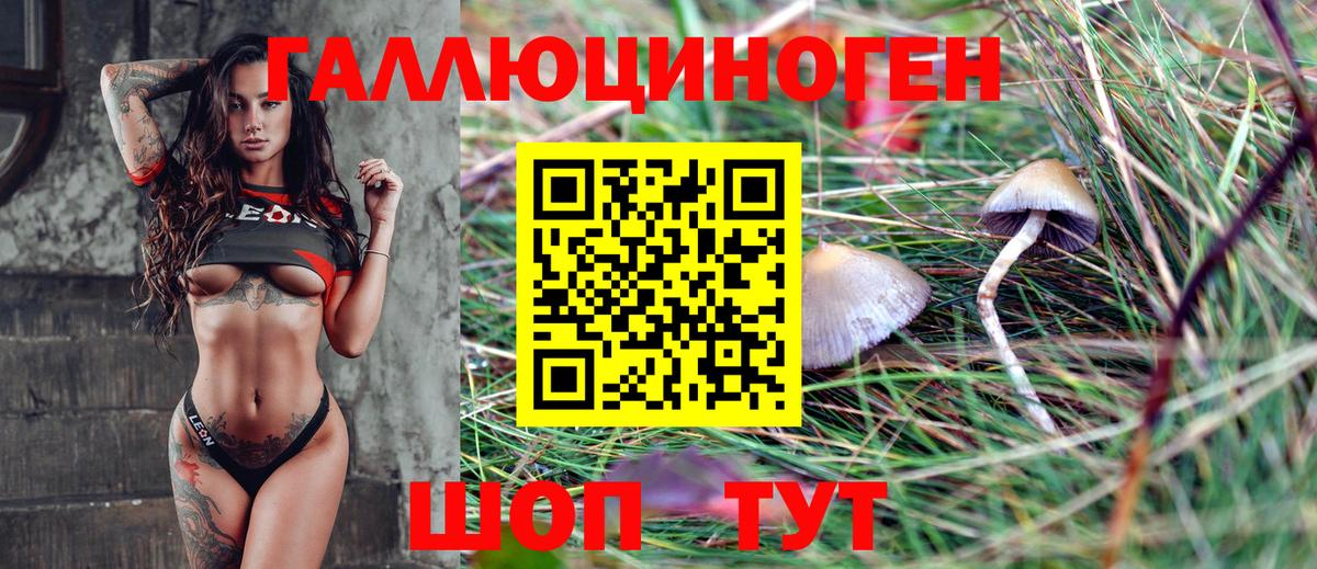 Галлюциногенные грибы мицелий Камышин