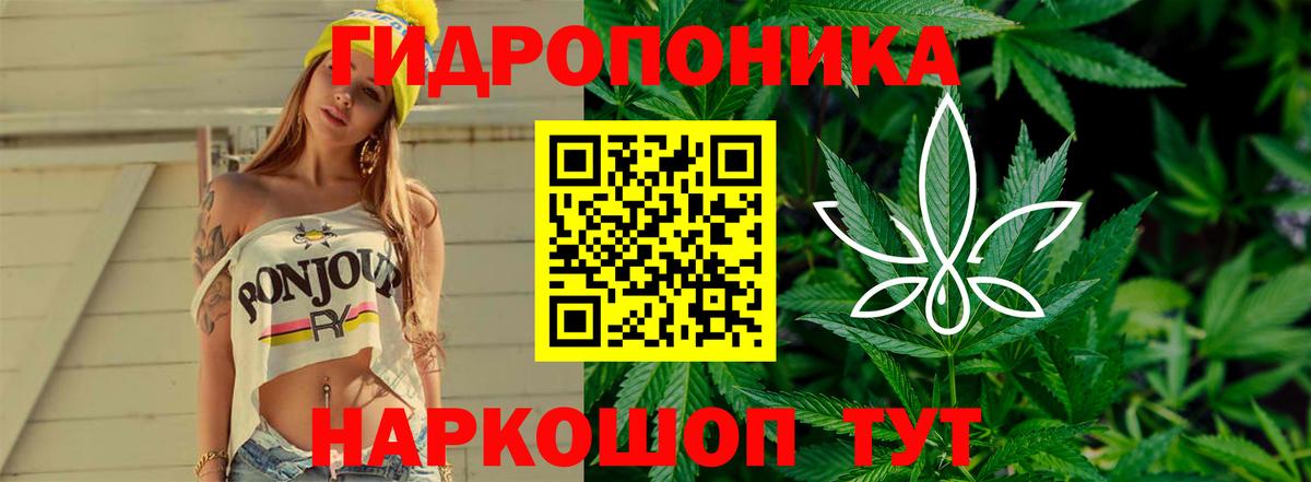 Бошки марихуана VHQ  Каннабис AK-47  Канабис Ganja  Вход с VPN  Камышин 