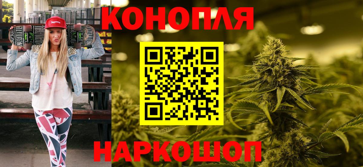Конопля конопля Камышин